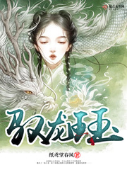 驭龙者小说