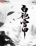白袍军的武器