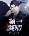 第一赘婿是什么小说