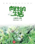 向往的生活之娱乐人生