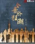 全音阶狂潮是后宫吗
