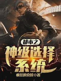 都市之神级选择 小说