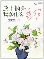 放下锄头我拿什么爱你小说全本阅读