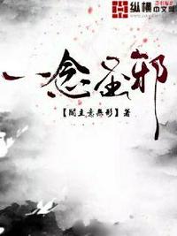 一念小说圣妖百度云