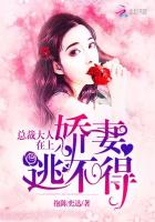 总裁大人在上:娇妻逃不得小说免费阅读下载