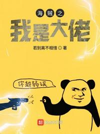 海贼王之大佬