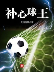 补心球王全文免费阅读