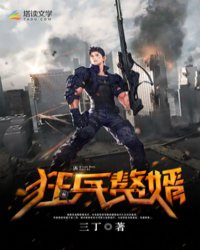 狂兵赘婿唐牧林闵雨下载三丁