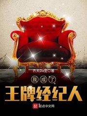 我成了王牌经纪人小说