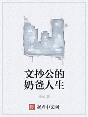 文抄公的书怎么样