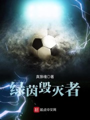 绿茵毁灭者txt下载