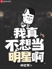我真不想当明星 小说