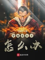 穿越成反派叶枫白苏苏叫什么小说