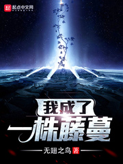 无翅之鸟小说作者是谁写的