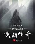神探狄仁杰之武朝传奇电影