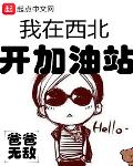 我在西北开加油站 书阁