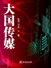 大国传媒 小说