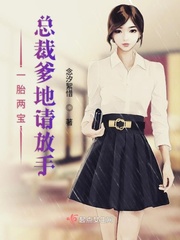 一胎两宝总裁爹地你出局了