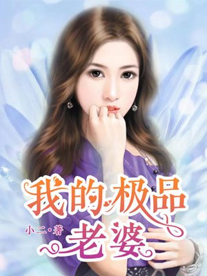 我的极品老婆美女总裁的小说