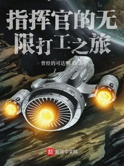 指挥官的无限打工之旅txt下载爱下