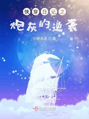 快穿之炮灰记事 小说