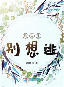 许先生的小说