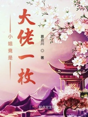 小姐姐全文免费阅读