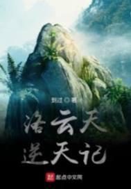 洛云天逆天记 小说