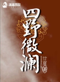 四野啥意思