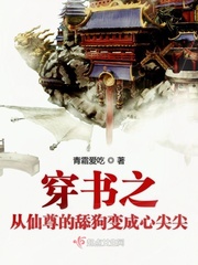 穿书 仙尊