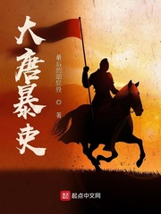 大唐暴吏百度小说