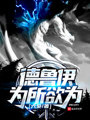德鲁伊啥意思
