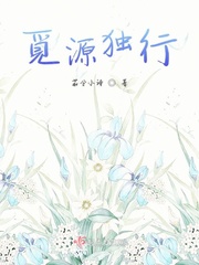 觅源独行小说全本免费阅读