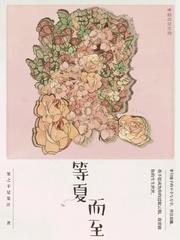 等夏而至小说全本在线阅读