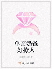 奶爸单女主小说