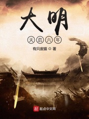 大明天启七年小说