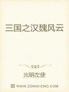 三国之汉魏风云笔趣阁