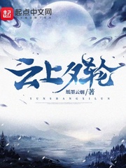 云上夭的小说