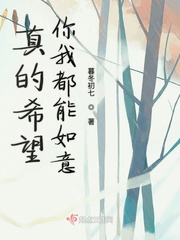 歌词你说希望都能如愿