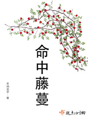 命中gl鸽子不会咕咕咕全文免费阅读