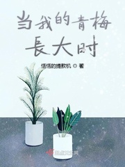 我的青梅竹马免费阅读