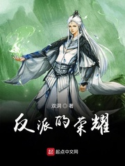 反派的荣耀小说