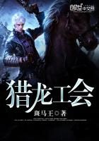猎龙信息科技有限公司