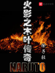 火影之木叶传奇小说在线阅读全文