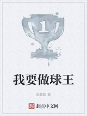 我要做球王精校txt