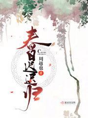 春日迟迟归小说txt免费