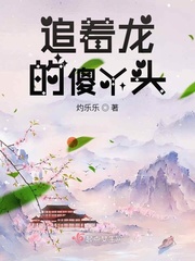 关于追龙的小说