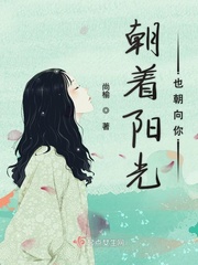 朝着阳光飞翔