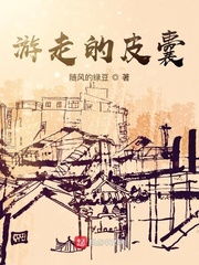 皮囊书免费阅读