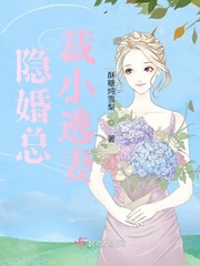 总裁的隐婚新娘小说